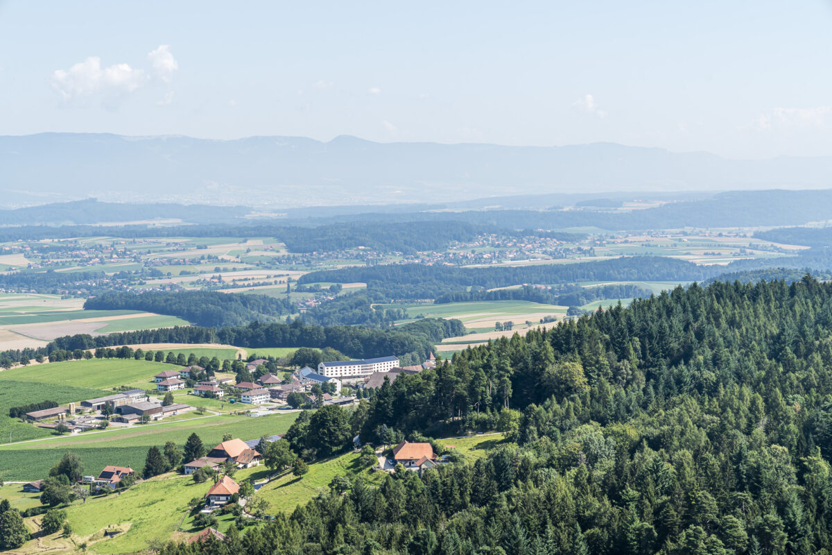 Frienisberg panorama