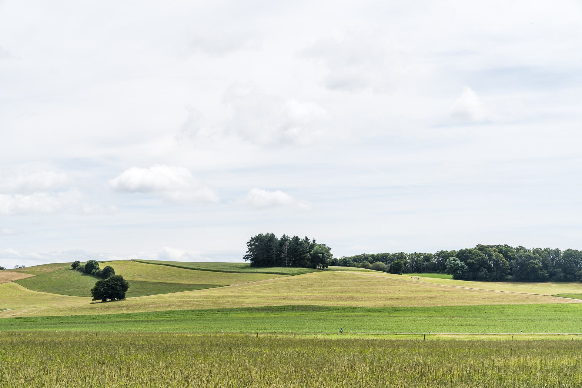 Aussicht Parc Jura Vaudois