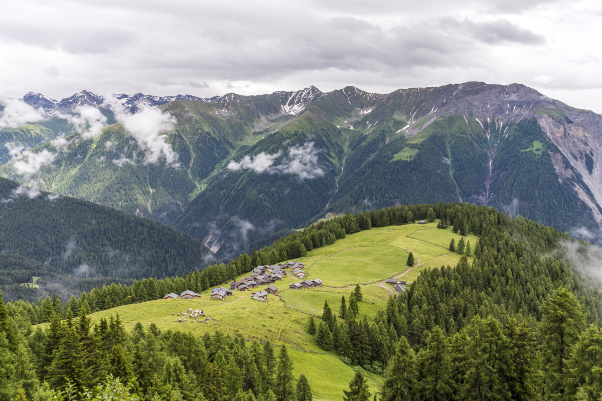 View of Wiesner Alp