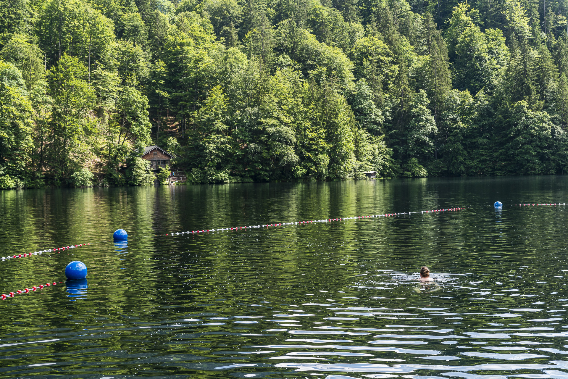 Freibergsee Natural Pool