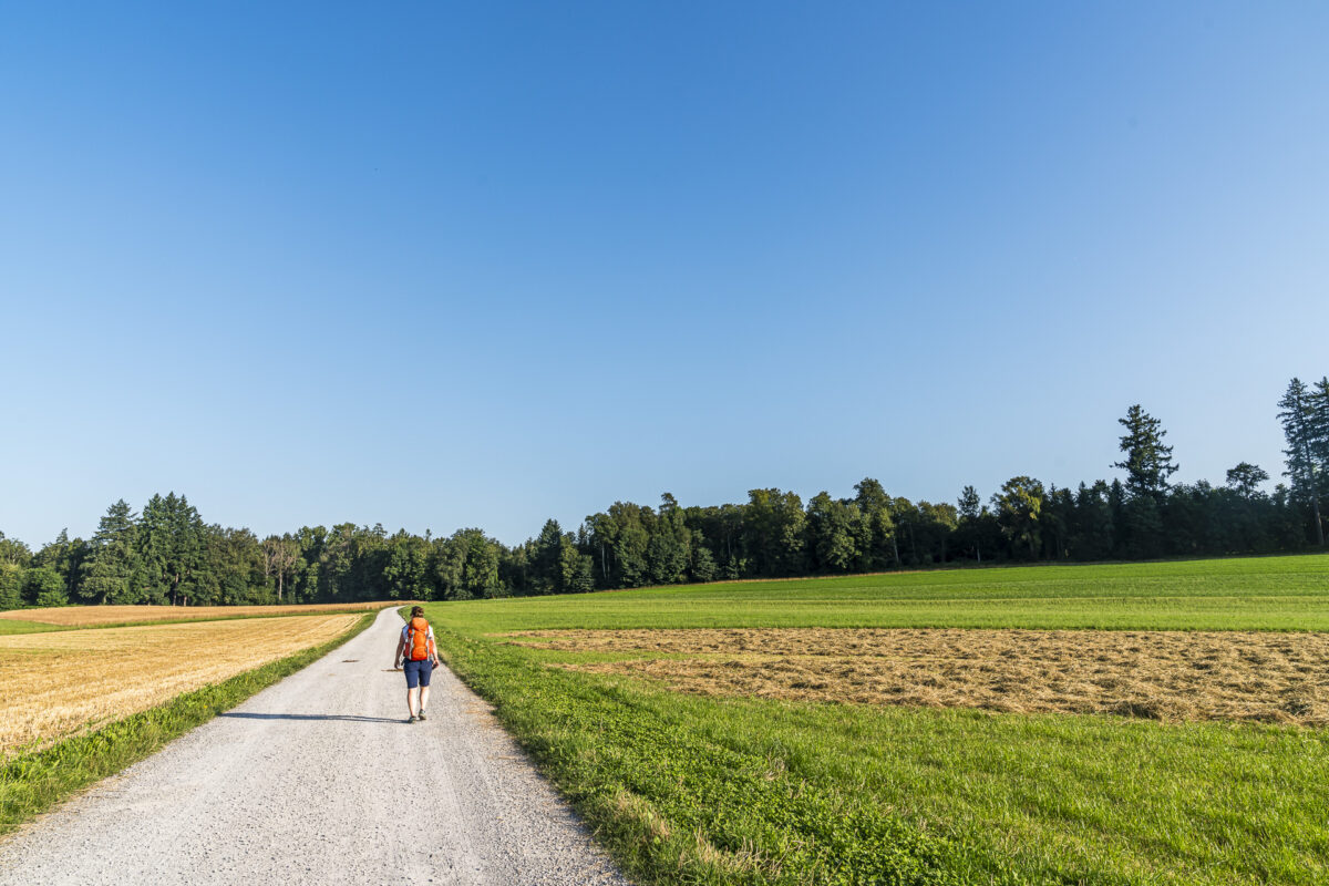 Hiking to Loehrwald