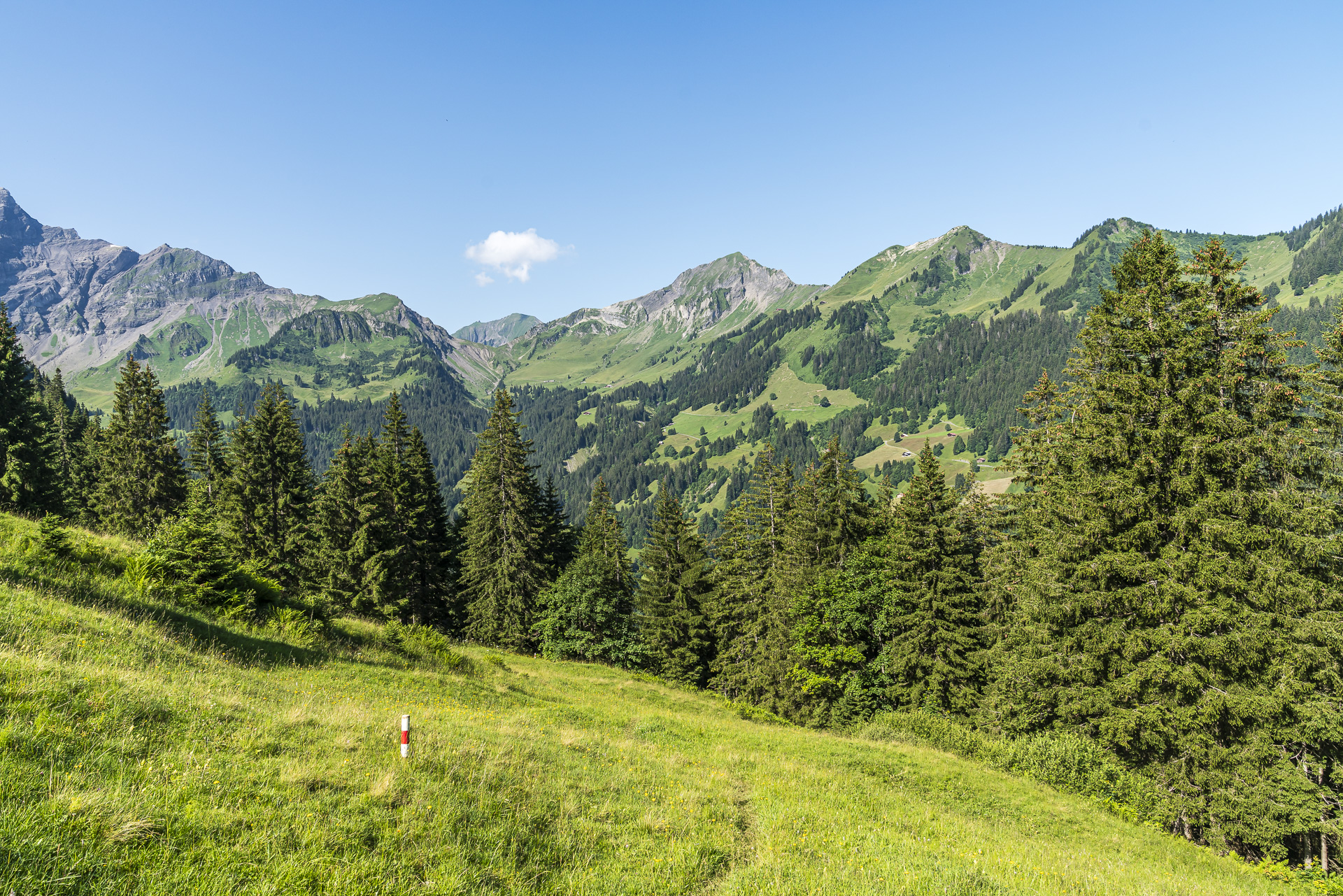 Ascent to Alp Bällen Saxeten