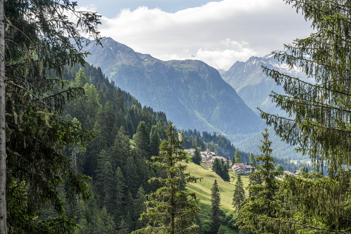 View of Stuls and the Albula Valley