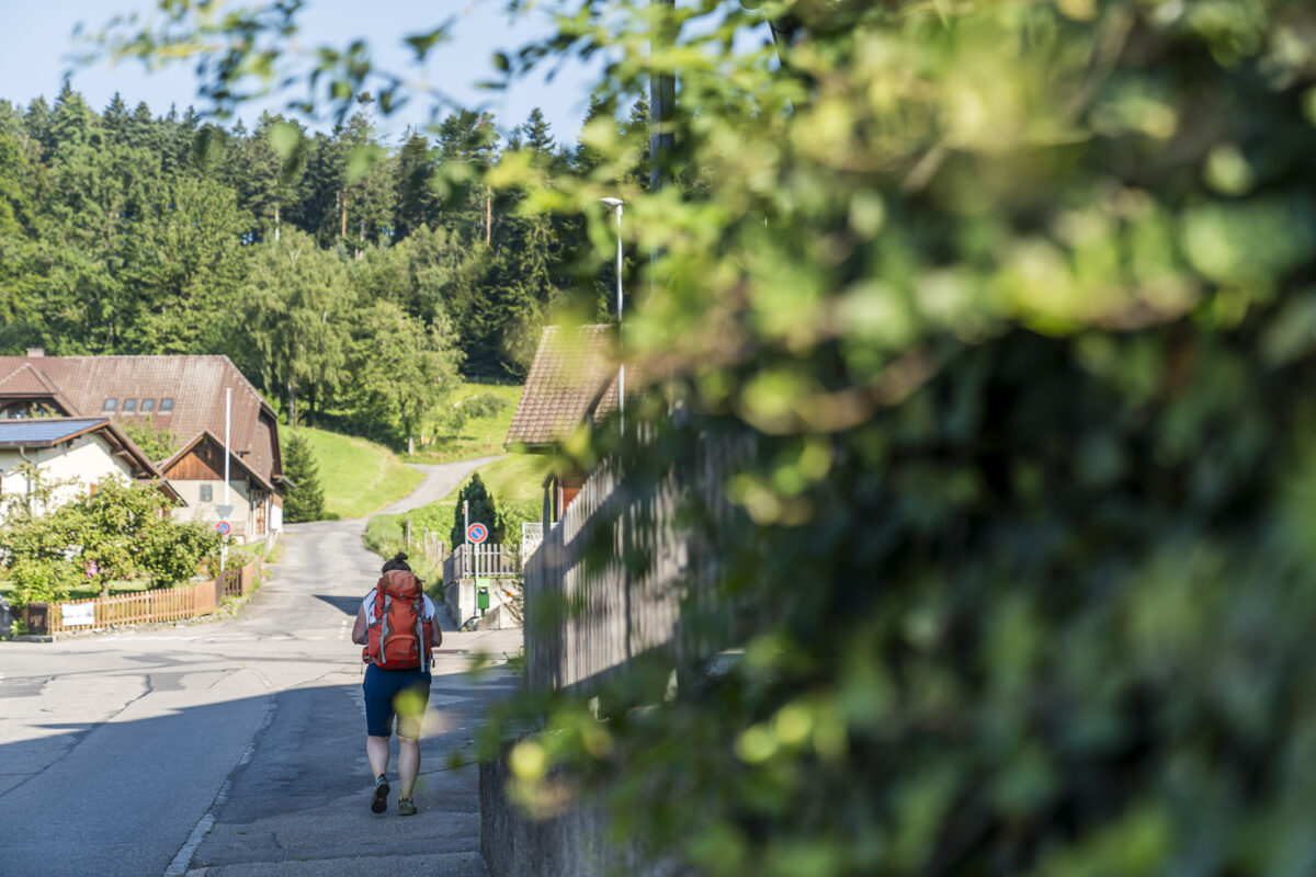 Meikirch Hiking