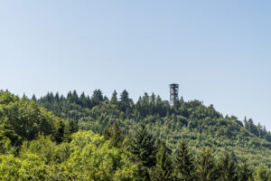 5 Excursion Tips and Hikes Around Frienisberg near Bern