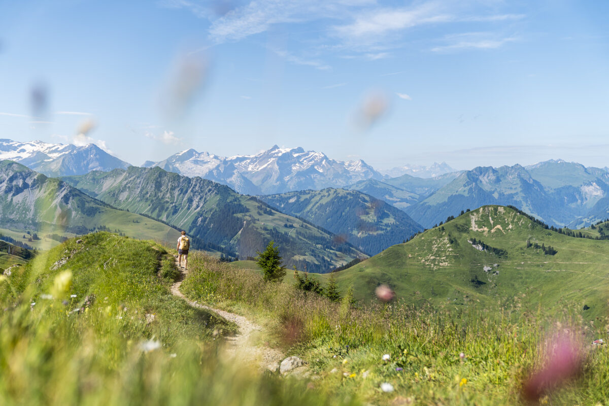 Horneggli Circular Path