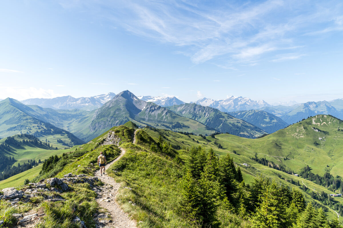 Hike on the Horneggli Circular Path