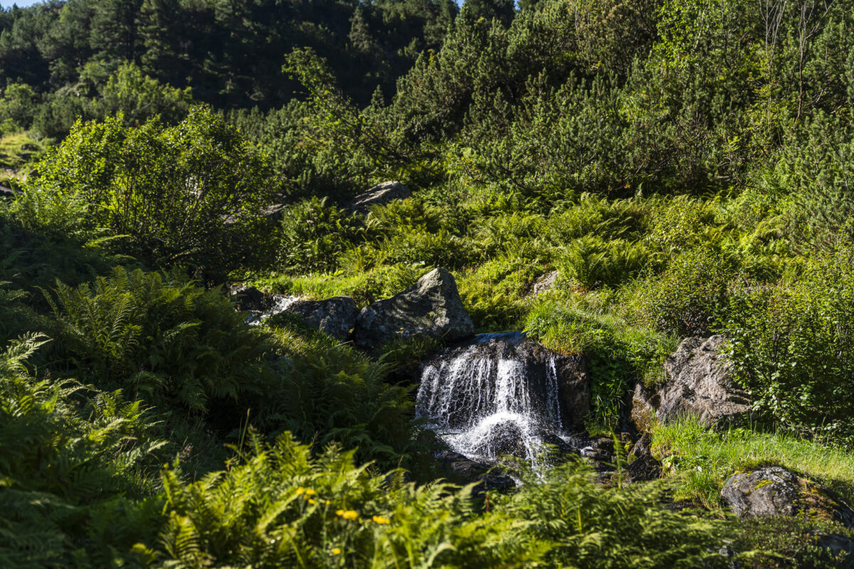 Mountain Stream