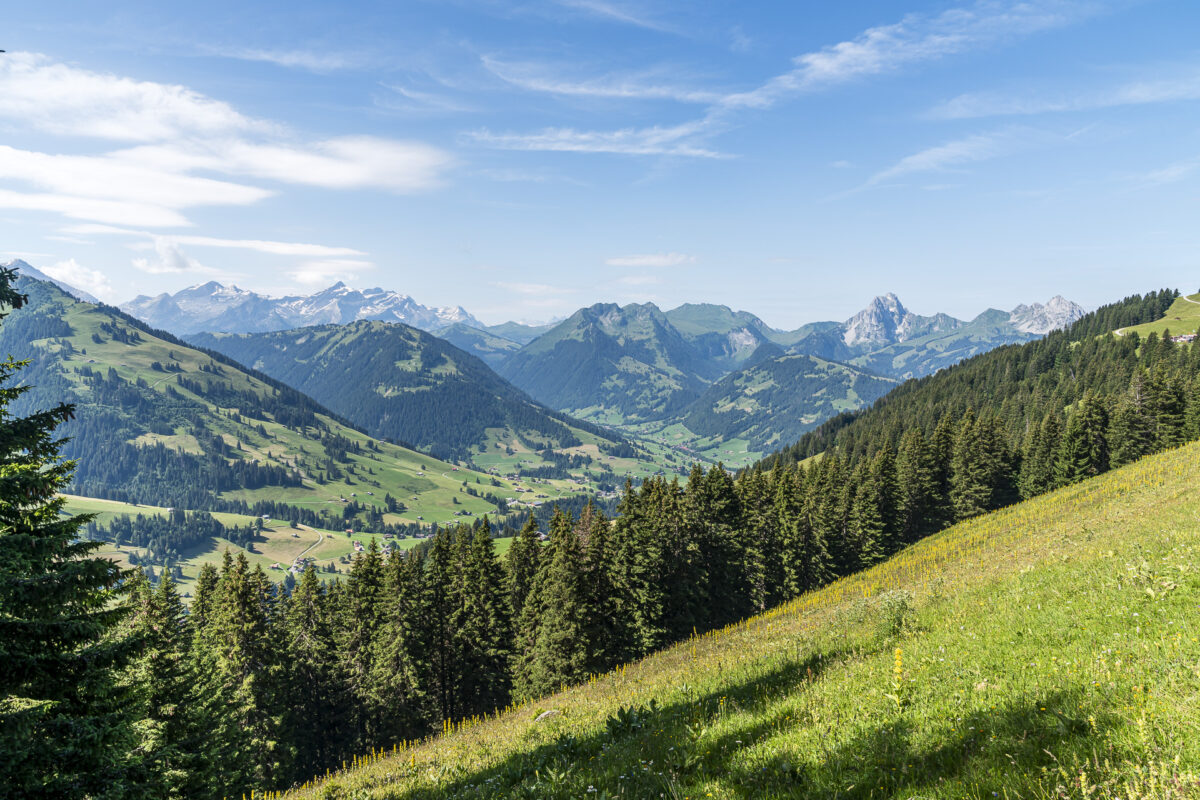 Panorama Gstaad Saanenland