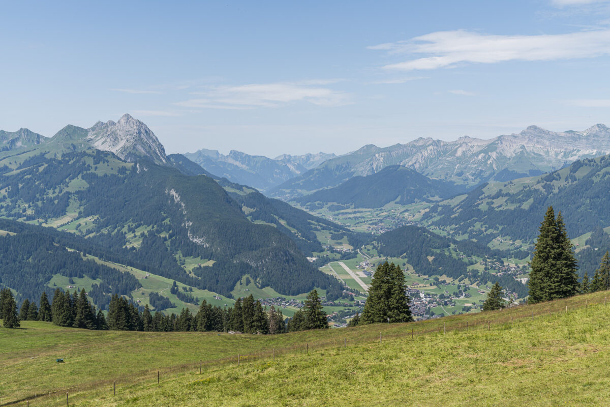 Panorama Saanenland