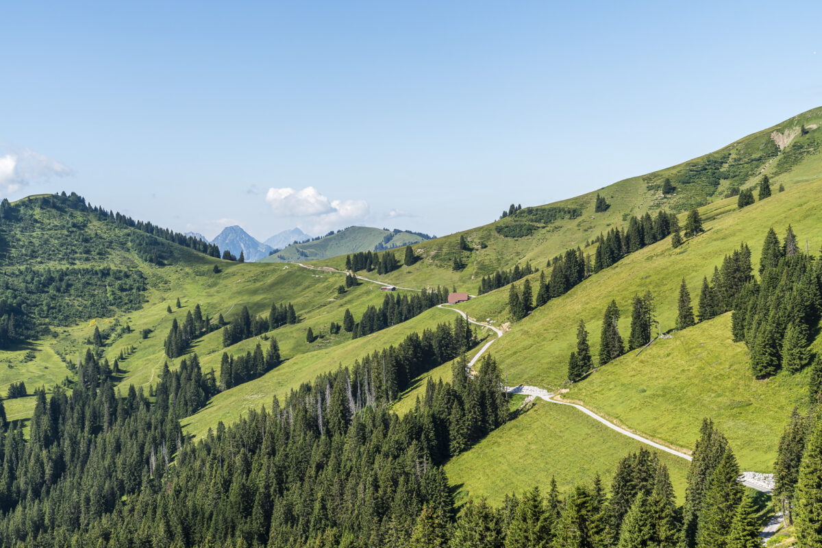 Hiking in Saanenland