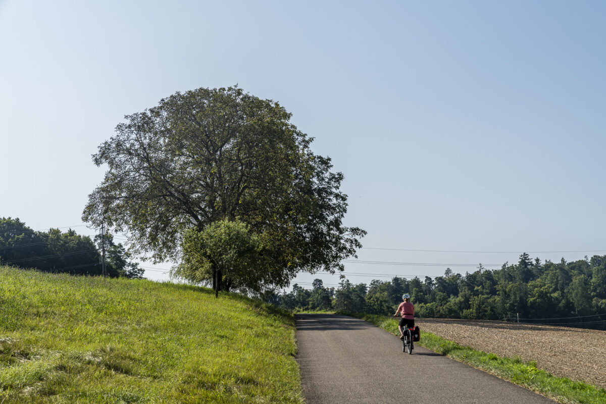 Velotour Weinland