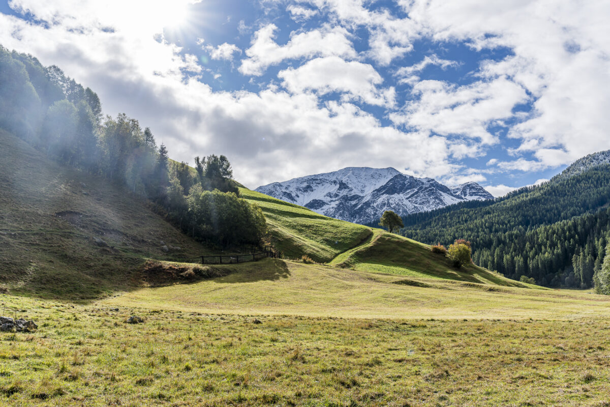 Münstertal valley landscape