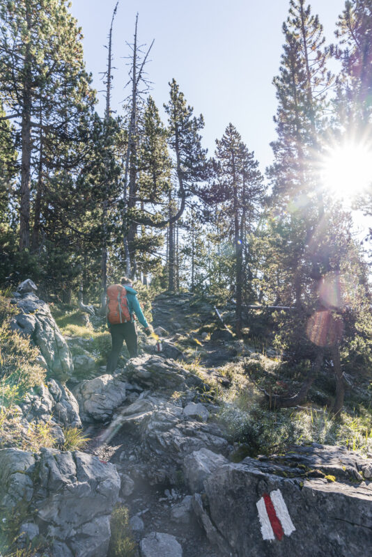 Trail from Ofen Pass