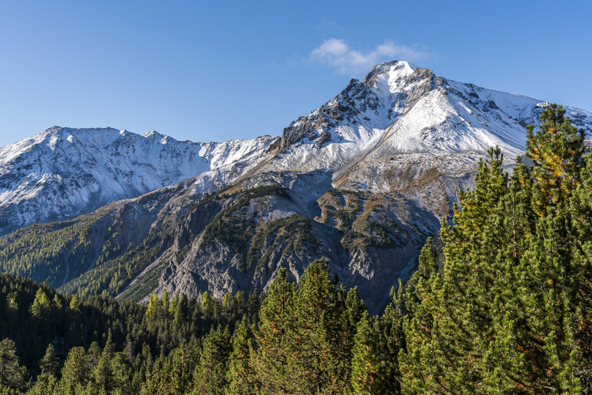 Landscape in Swiss National Park