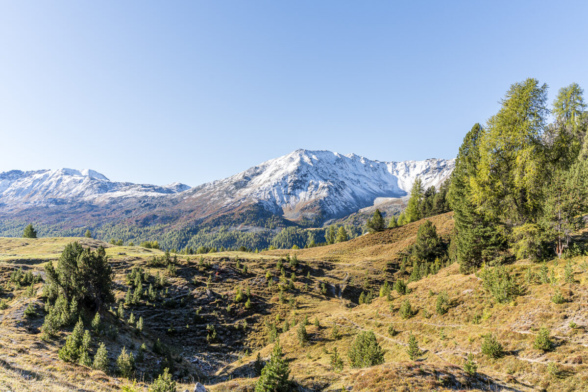 Landscape in the Münstertal valley