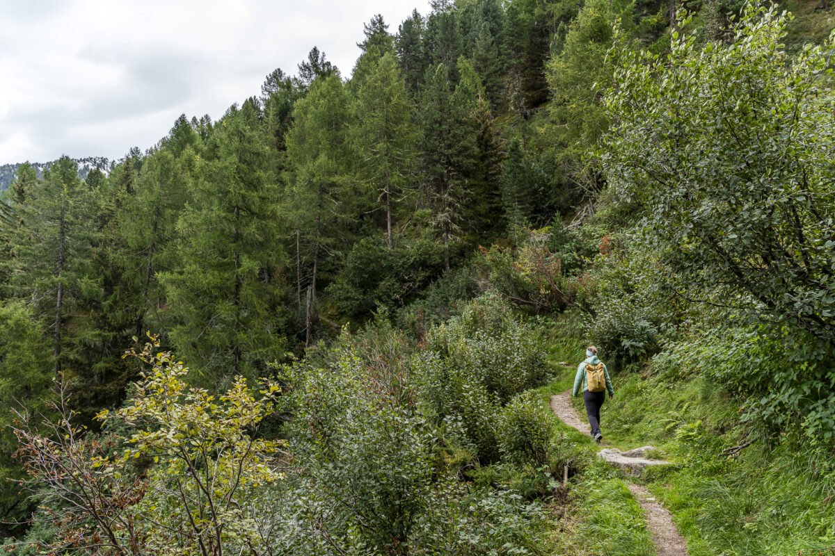 Hiking in Latsch, Vinschgau