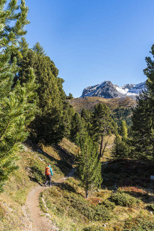 Alp Campatsch in autumn