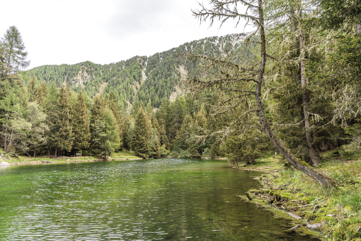 Tarscher See near Latsch