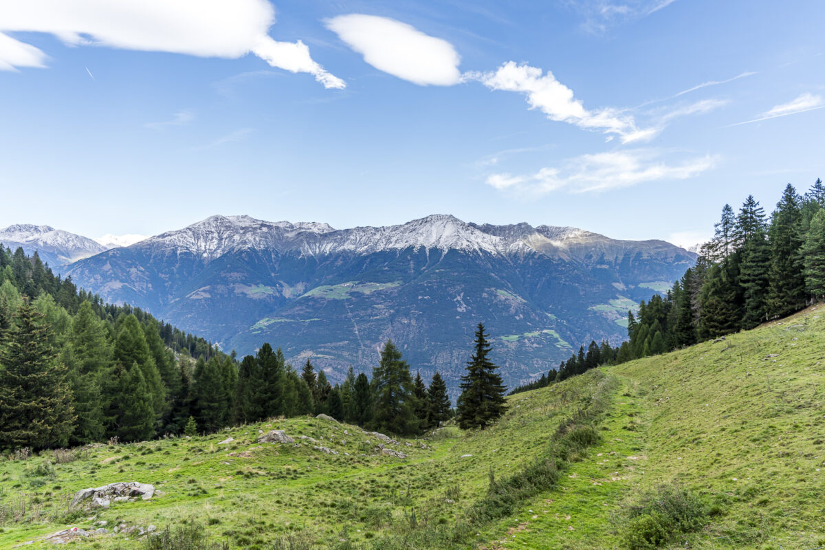 View from Latscher Alm