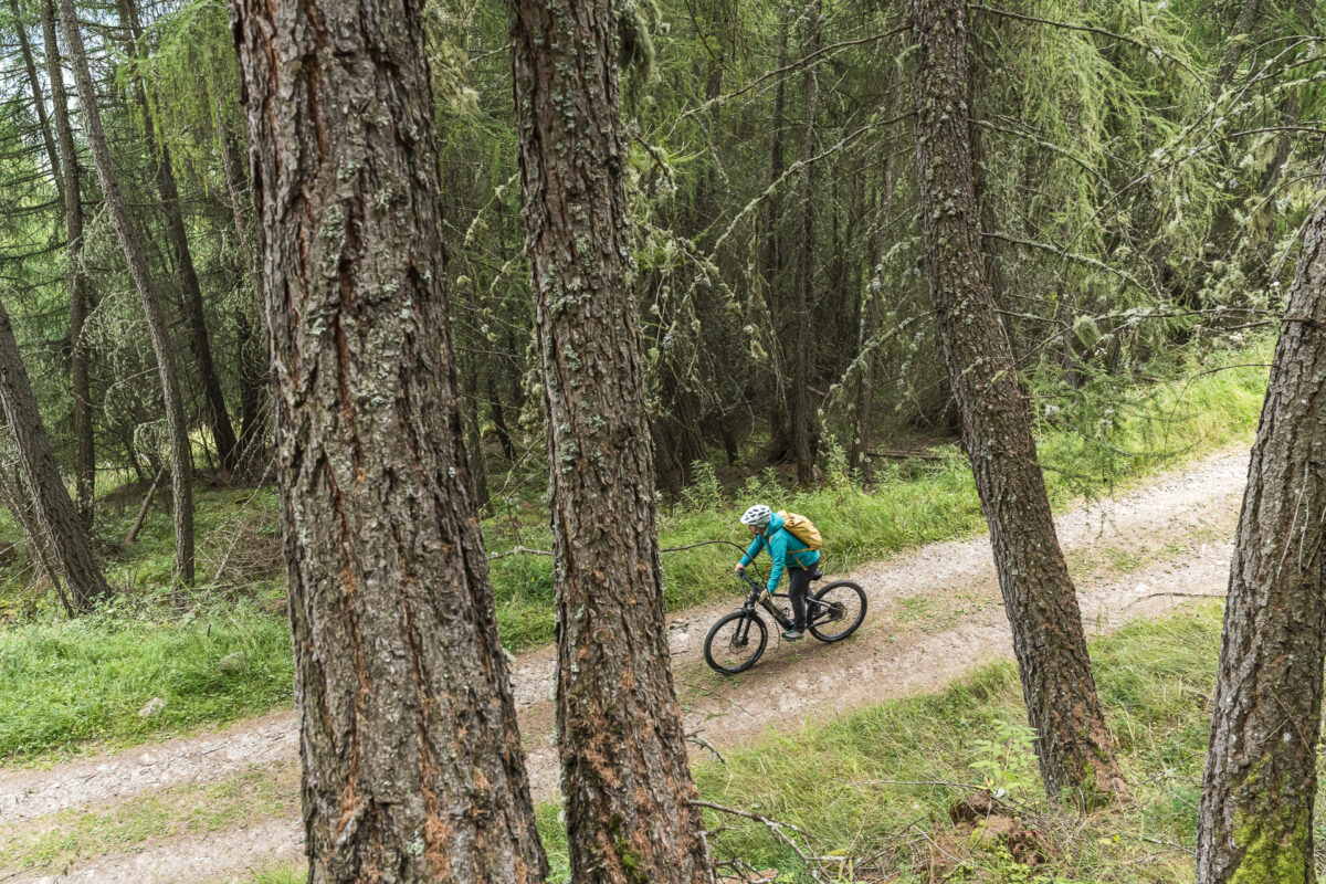 Cycling in Vinschgau