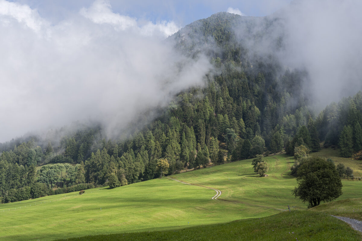 Autumn in the Münstertal valley