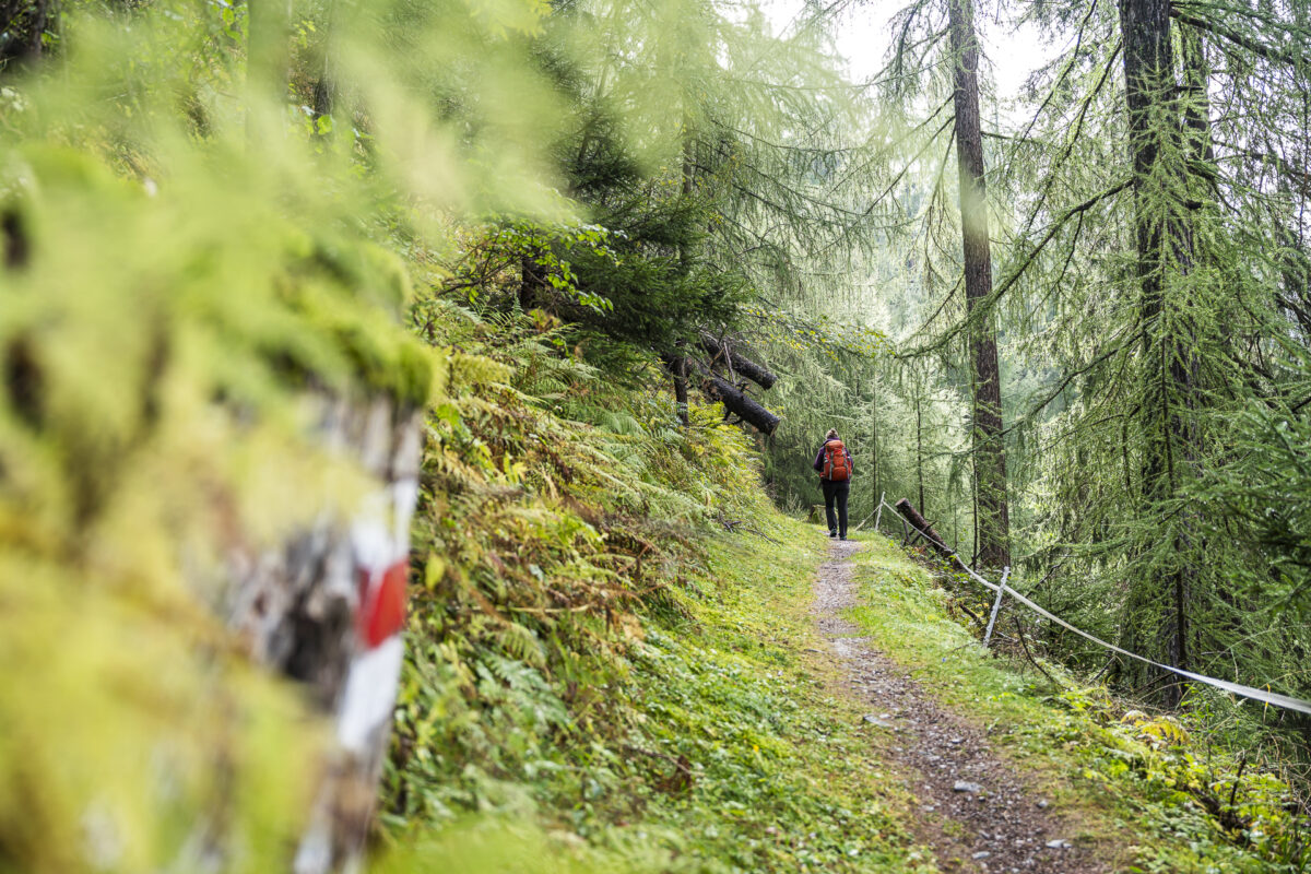 Circular hike Sta. Maria