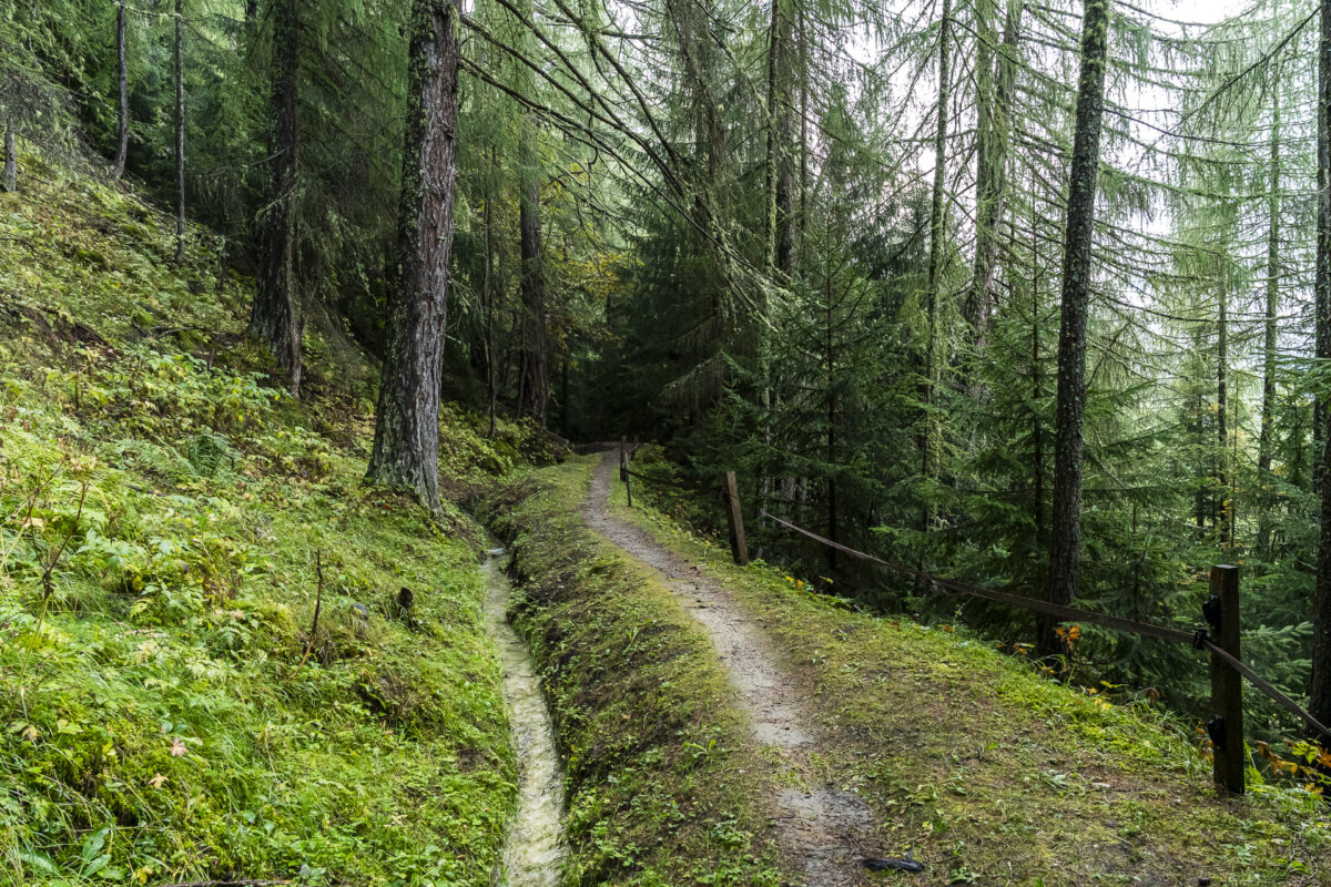 Irrigation channel in the Münstertal valley