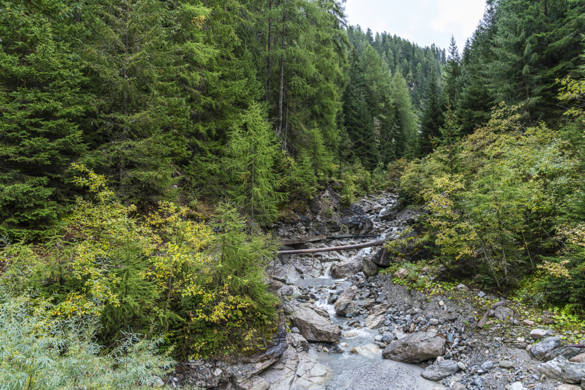 Ravine in the Münstertal valley