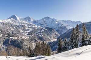 Sledding, hiking & enjoying: a scenic winter excursion to Isenfluh