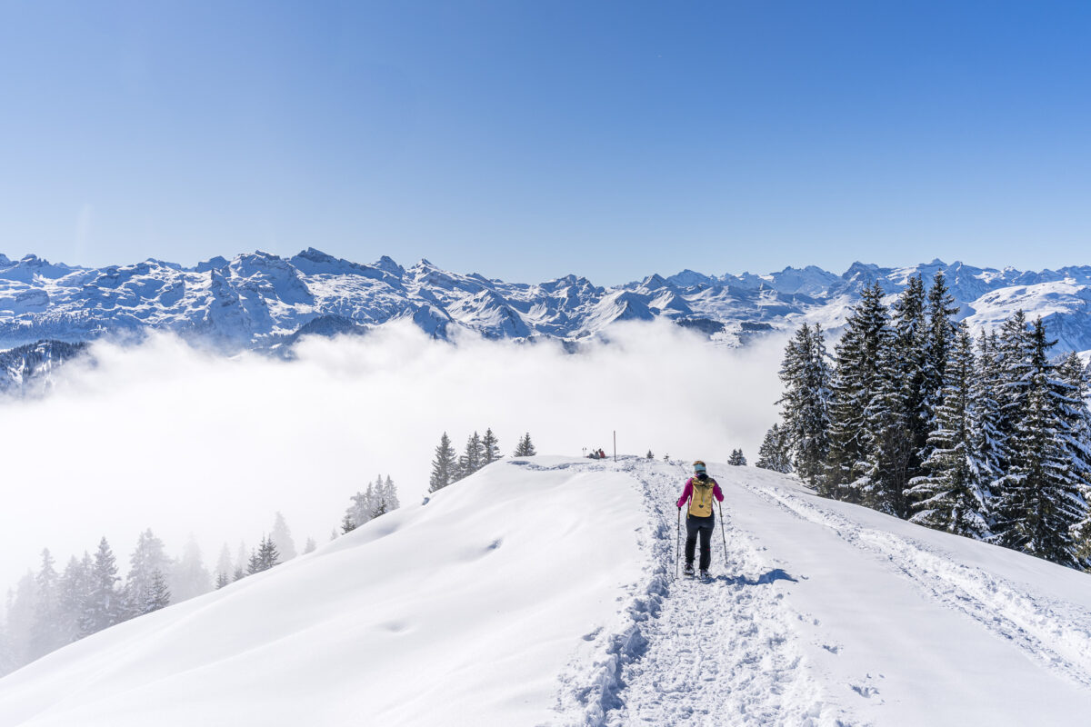 Furggelenstock-Holzegg Snowshoe Trail