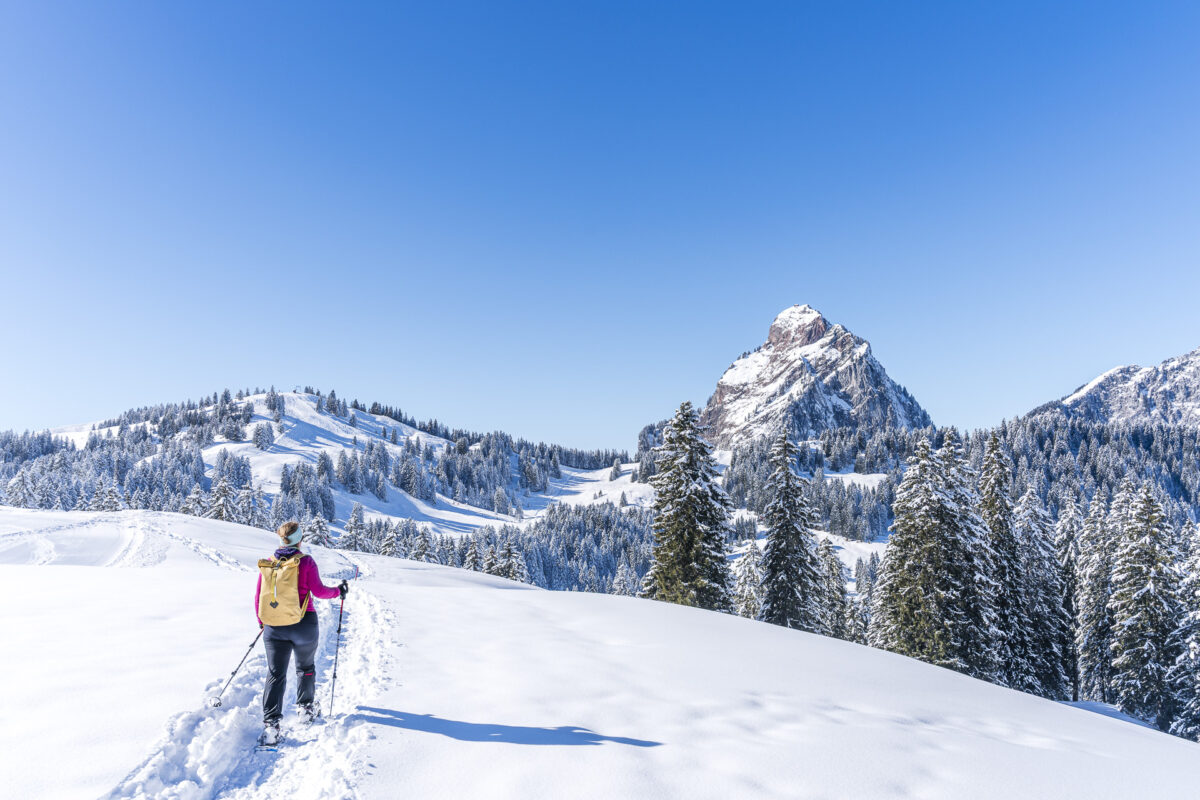 Snowshoe Hike at Holzegg