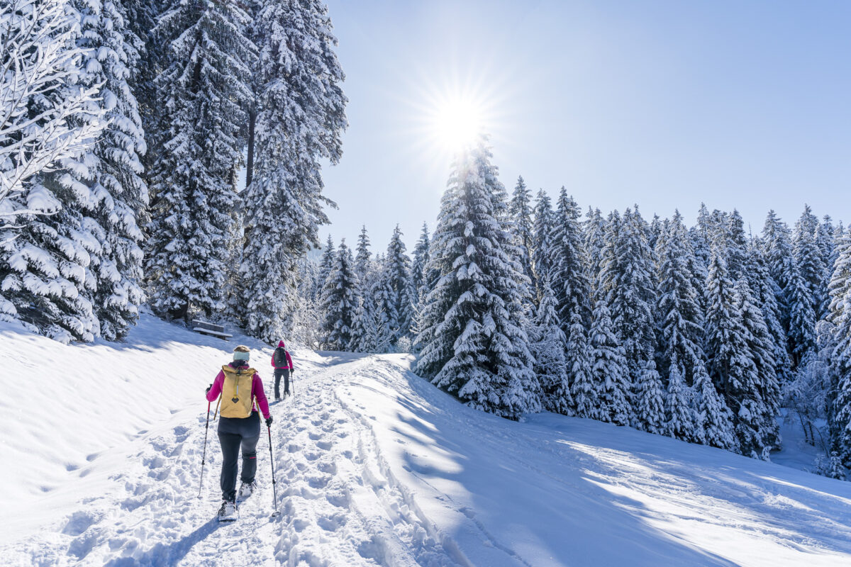 Ascent on the Furggelen Snowshoe Trail