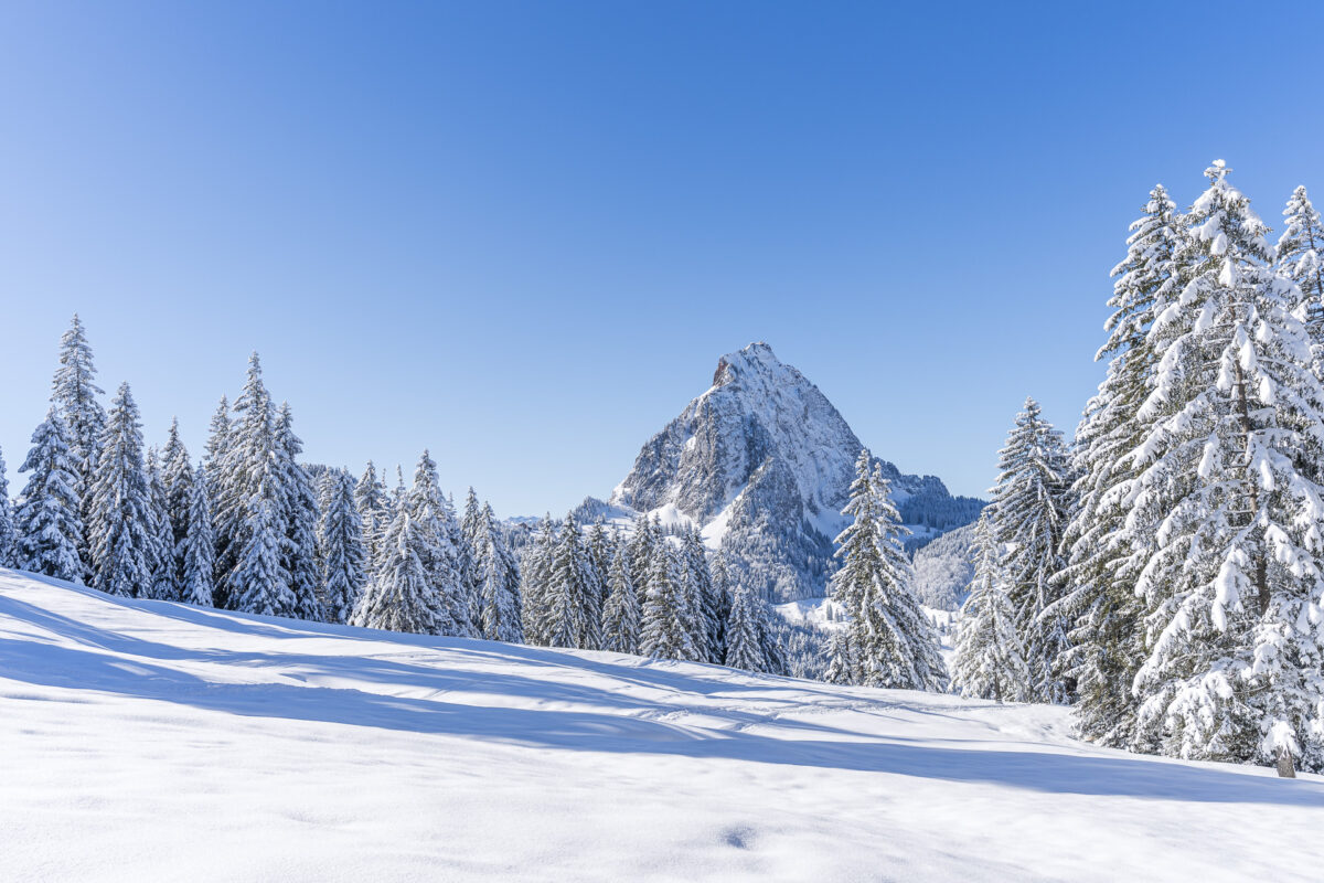 Panorama Furggelen Snowshoe Trail