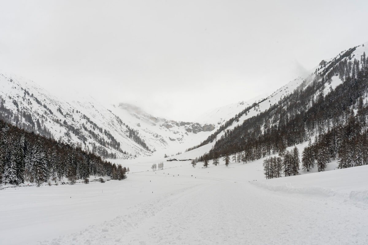 Schliniger Alm Vinschgau