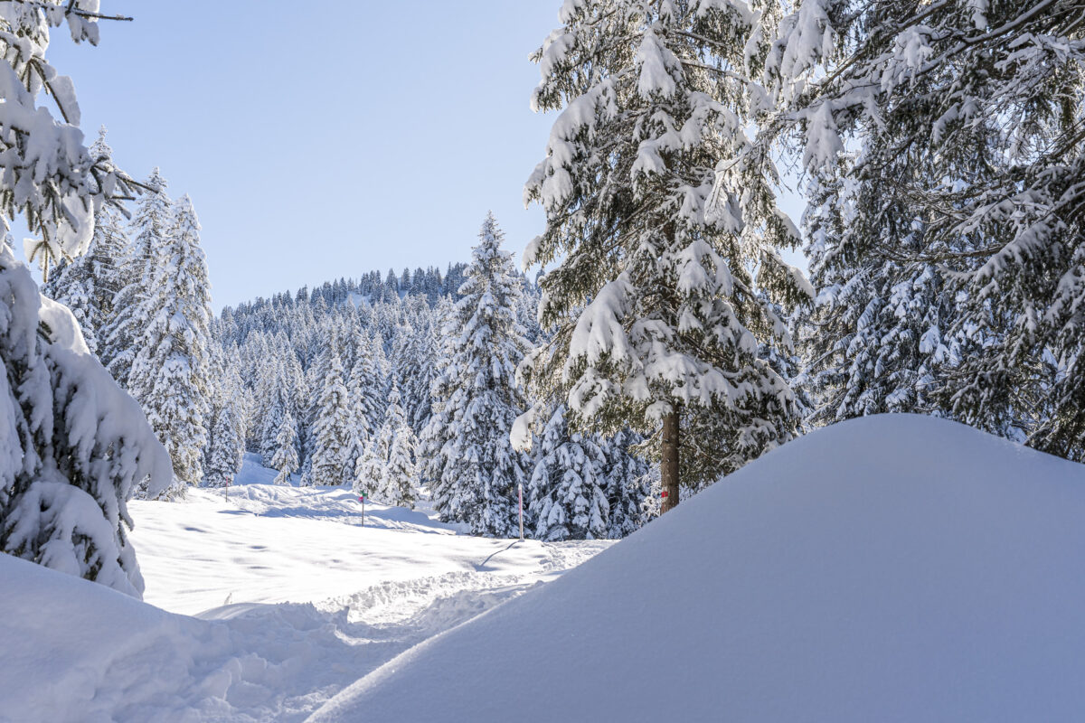 Furggelen Snowshoe Trail