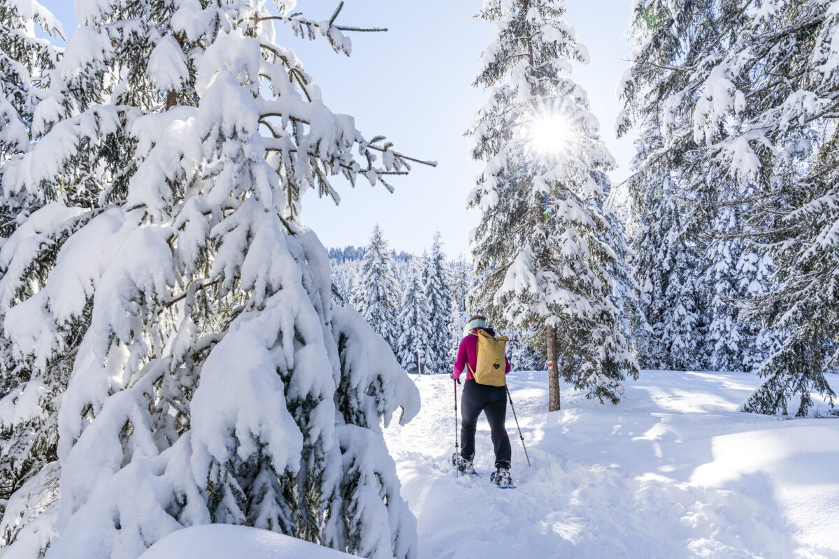 Snowshoe Hike in the Mythenregion