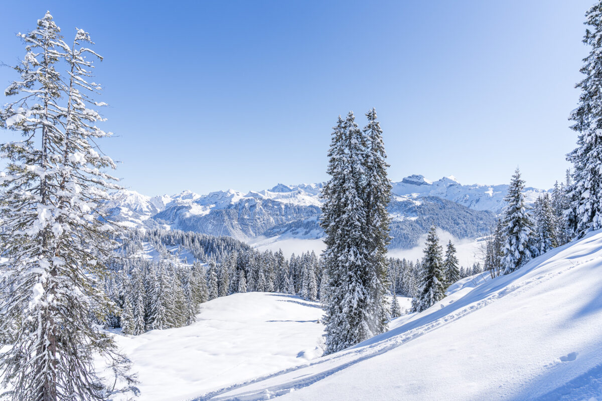 Mythenregion in Winter