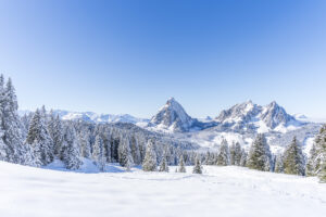 With snowshoes to the Furggelenstock