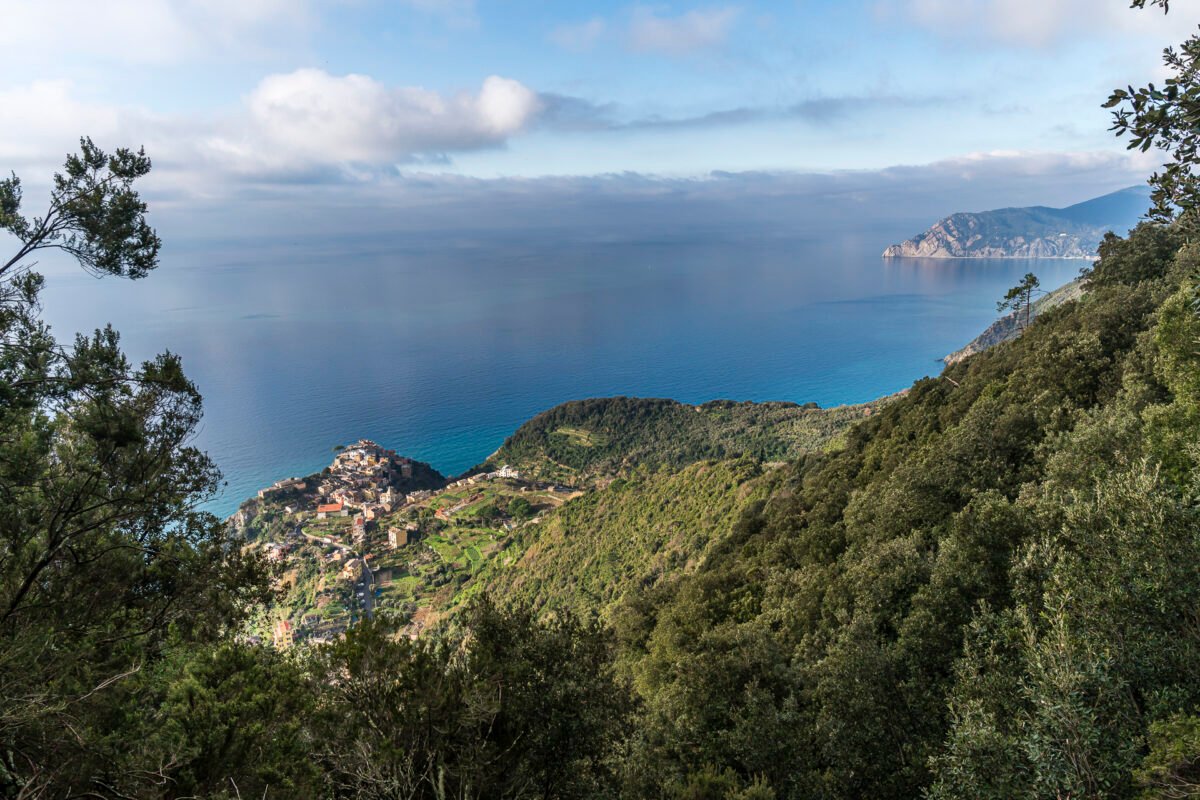 View of Corniglia