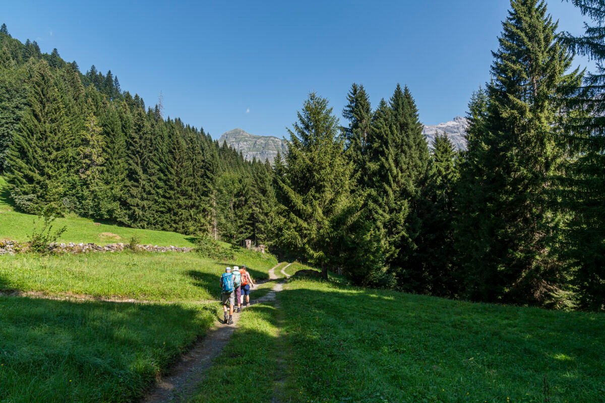 Prättigauer Höhenweg near Seewis