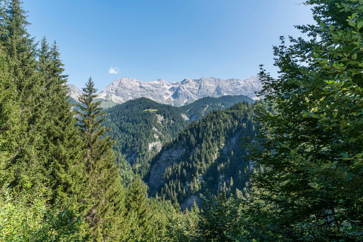View into the Rätikon