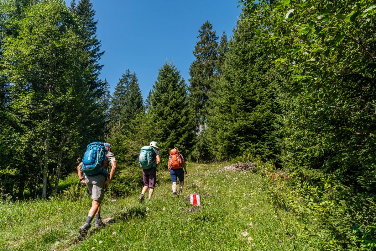 Hike Seewis - Schesaplana Hut