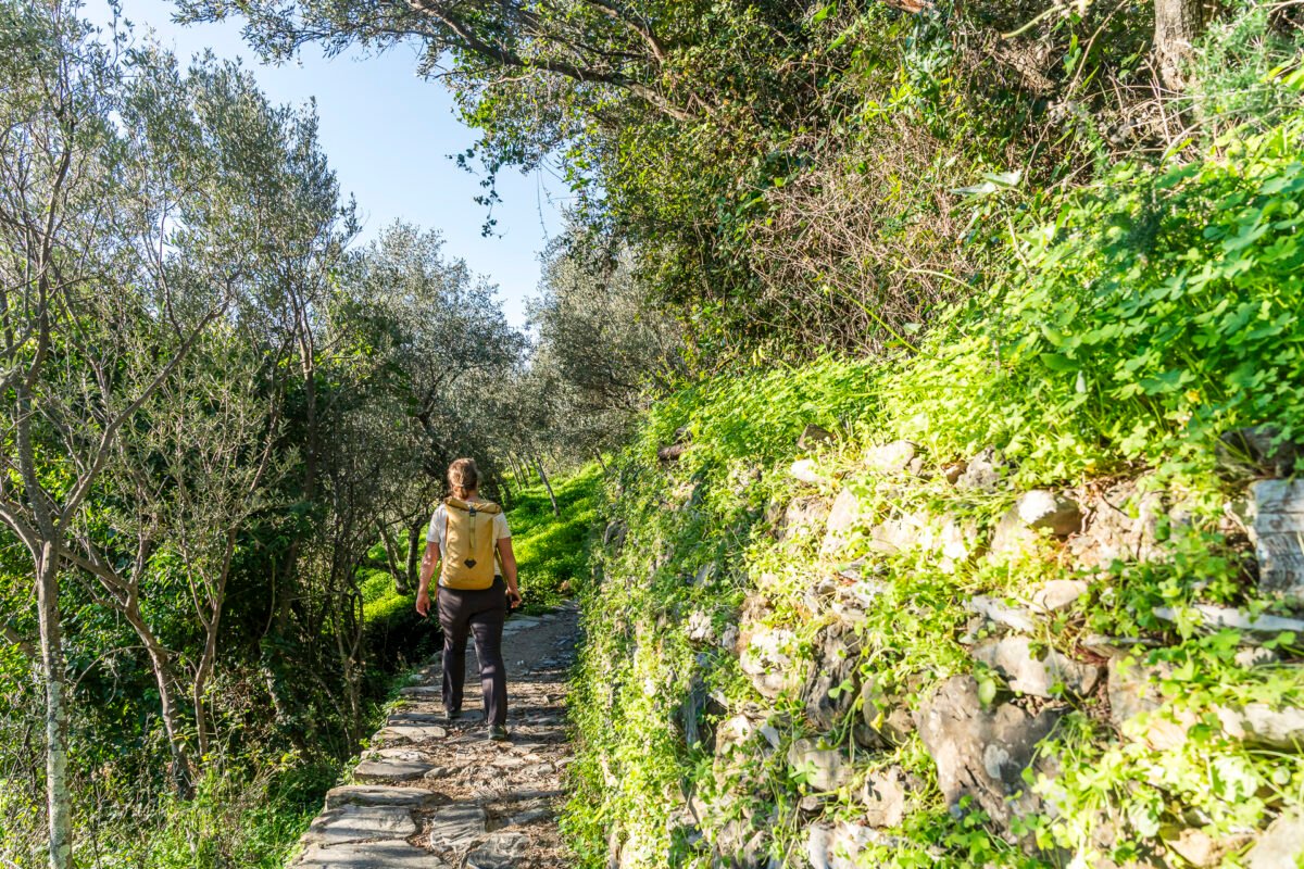 Hiking trail Corniglia to Vernazza