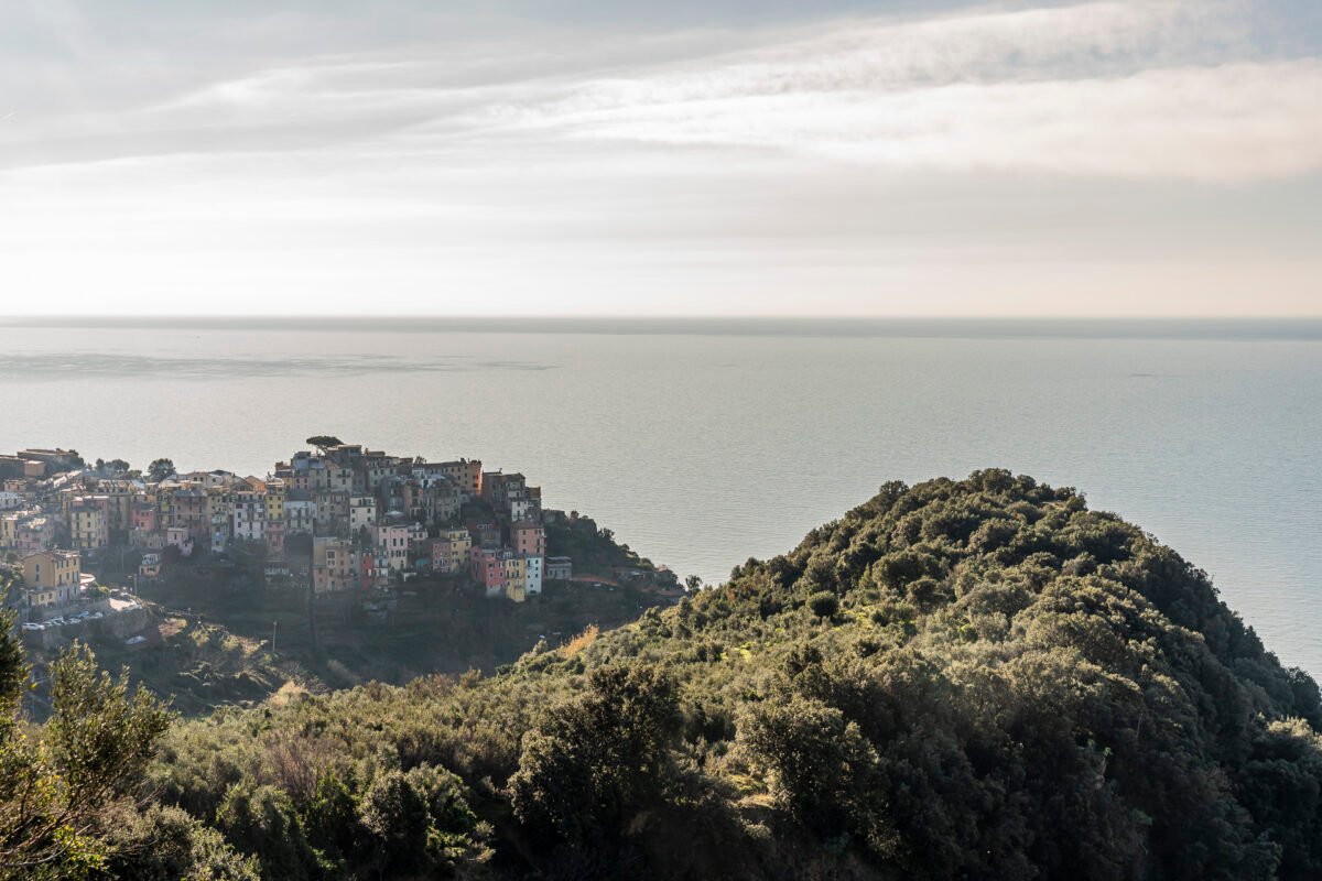 View of Corniglia