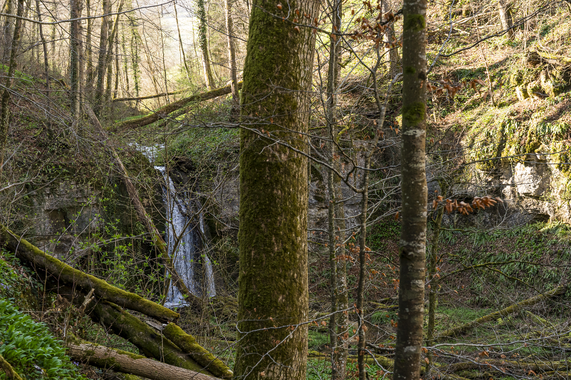 Cascada en el curso alto del Ergolz