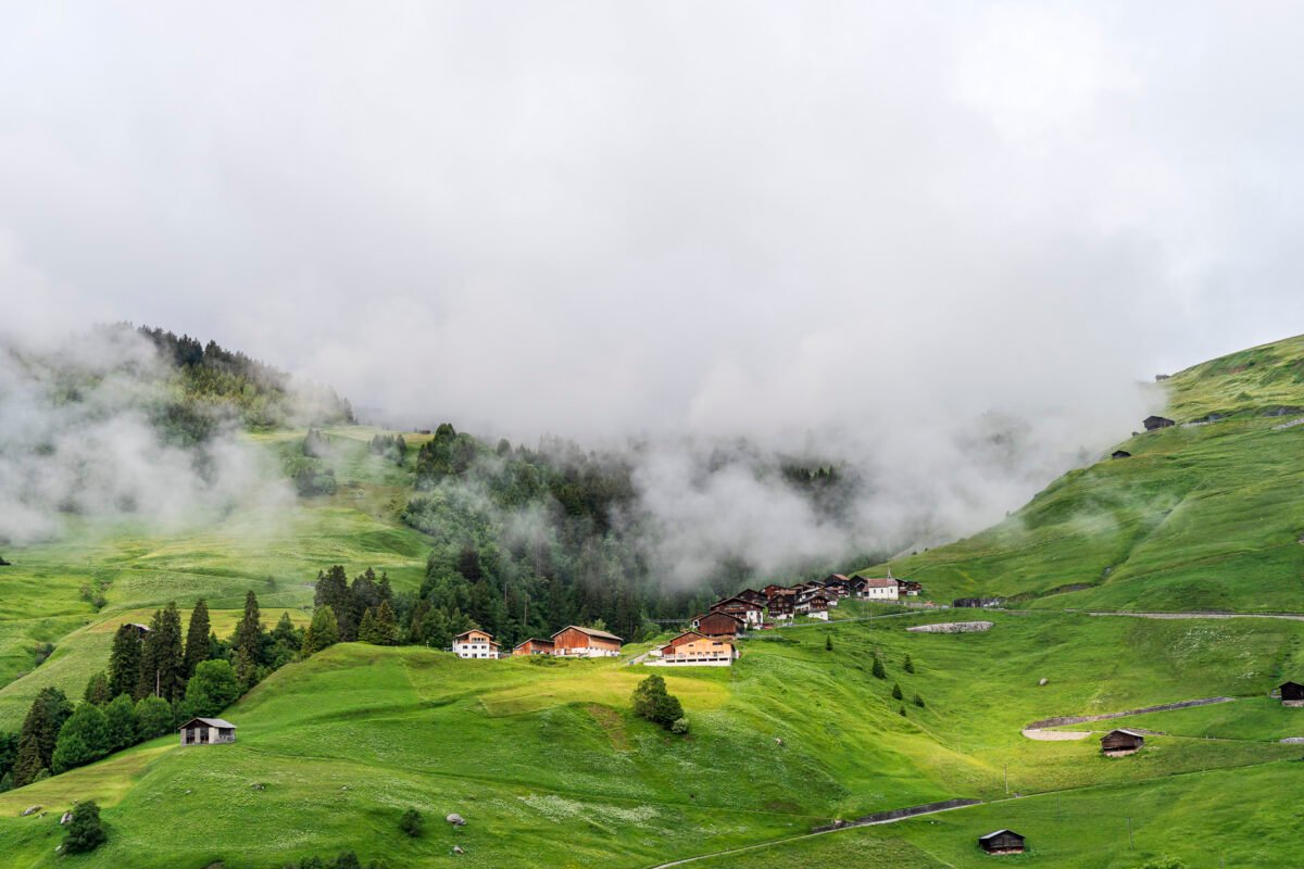 Mutschnengia