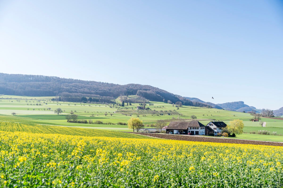 Baselbiet landscape