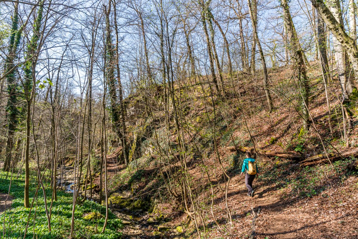 Eibach Valley