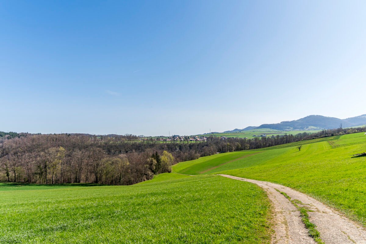 Hiking in Baselland